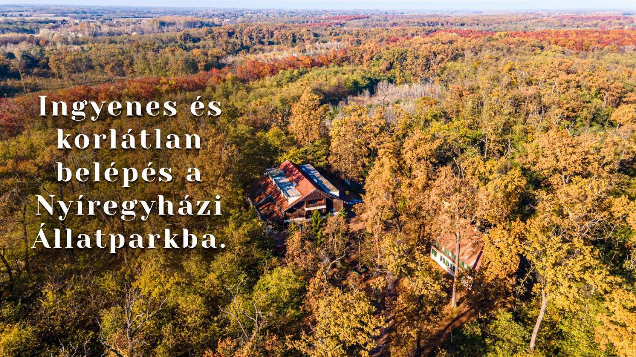 Ozoon Szálloda Nyíregyháza